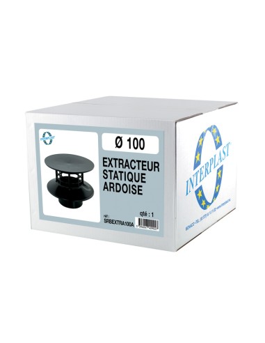 Extracteur statique Ø100 ardoise